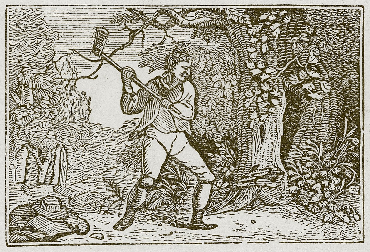 Il bosco e il clown (incisione) da English School