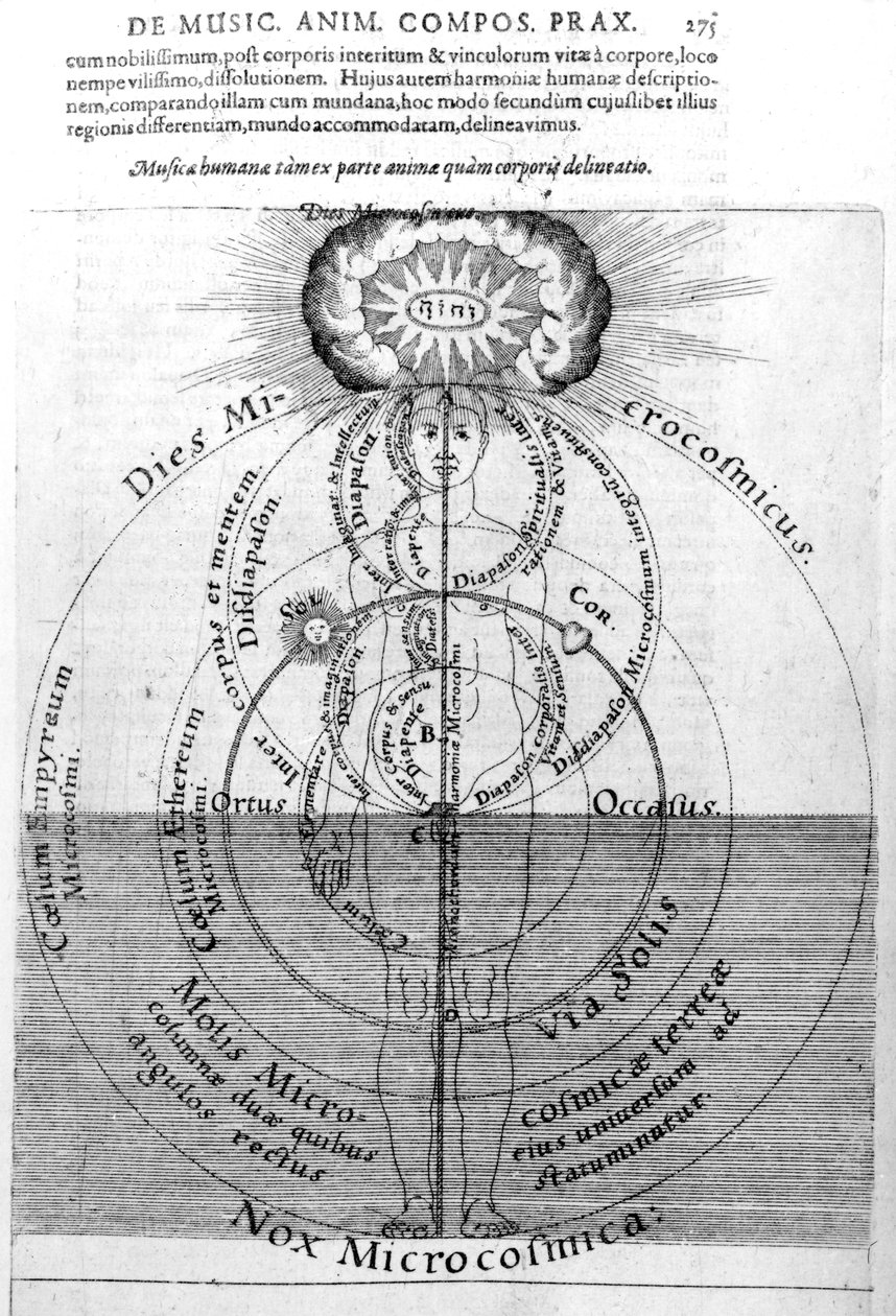 Il giorno e la notte del Microcosmo, da 