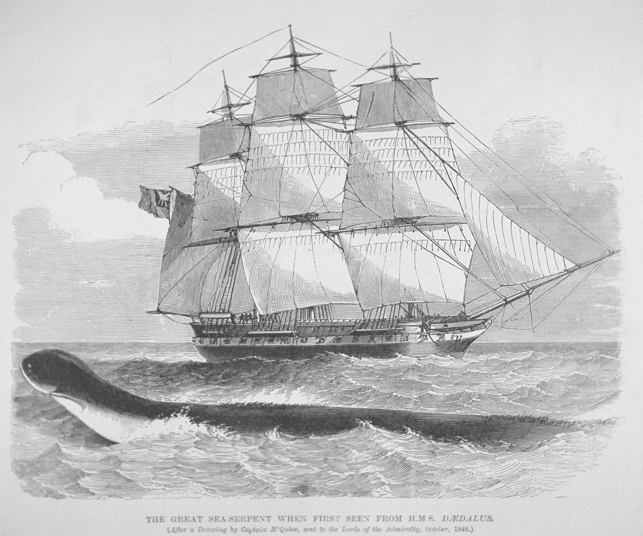 Il grande serpente marino visto per la prima volta dalla HMS Daedalus nel 1848, c.1848 (incisione) da English School