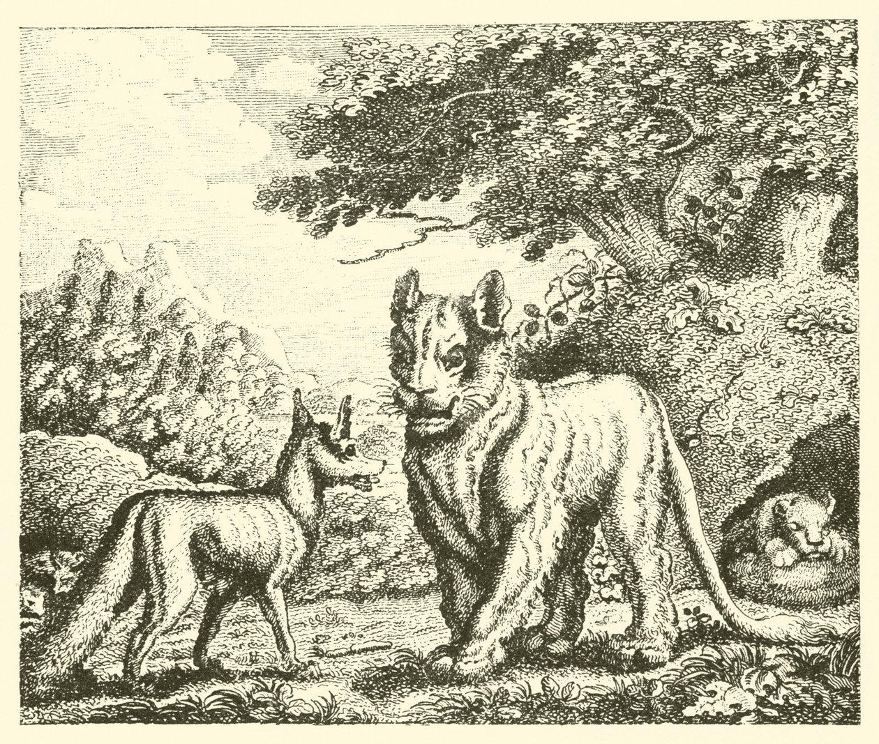 La leonessa e la volpe (incisione) da English School