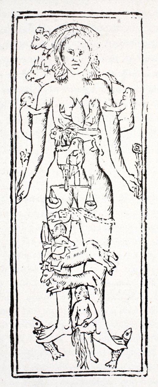Le parti del corpo che controllano ogni segno zodiacale da English School