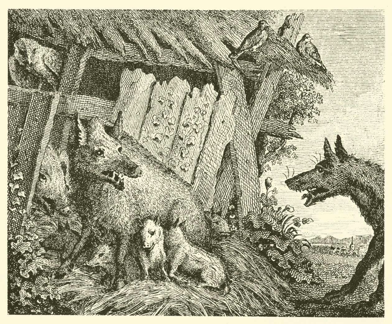 La scrofa e il lupo (incisione) da English School