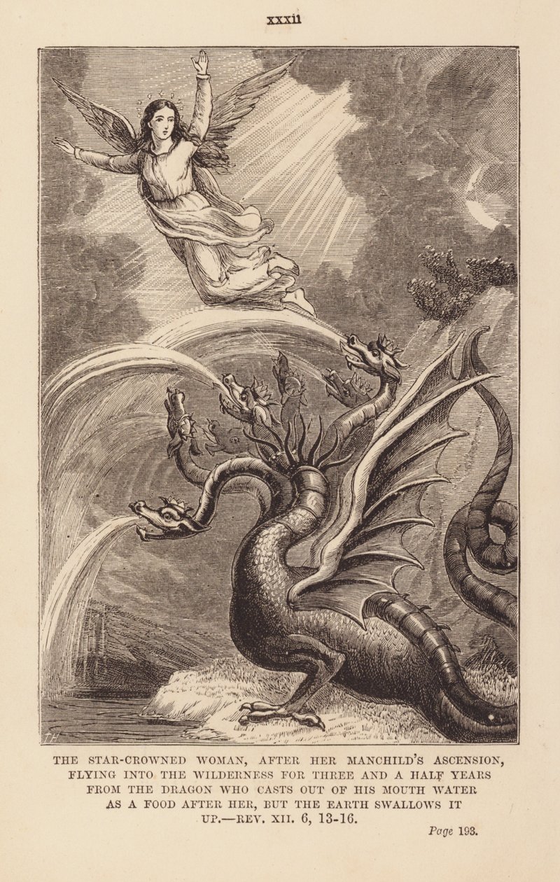 La donna e il drago (incisione) da English School