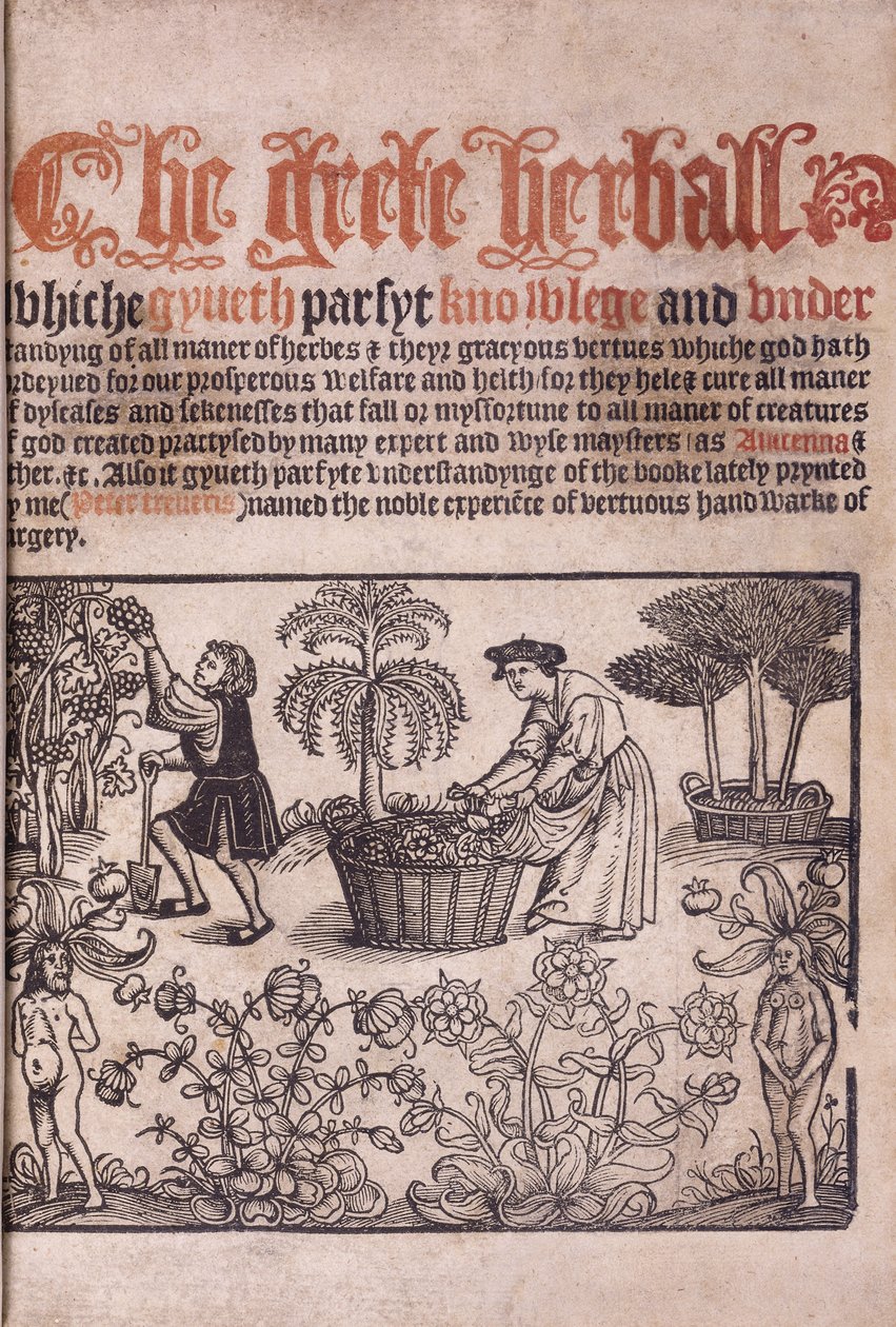 Pagina del titolo che illustra una scena di giardino con figure, 1529 da English School