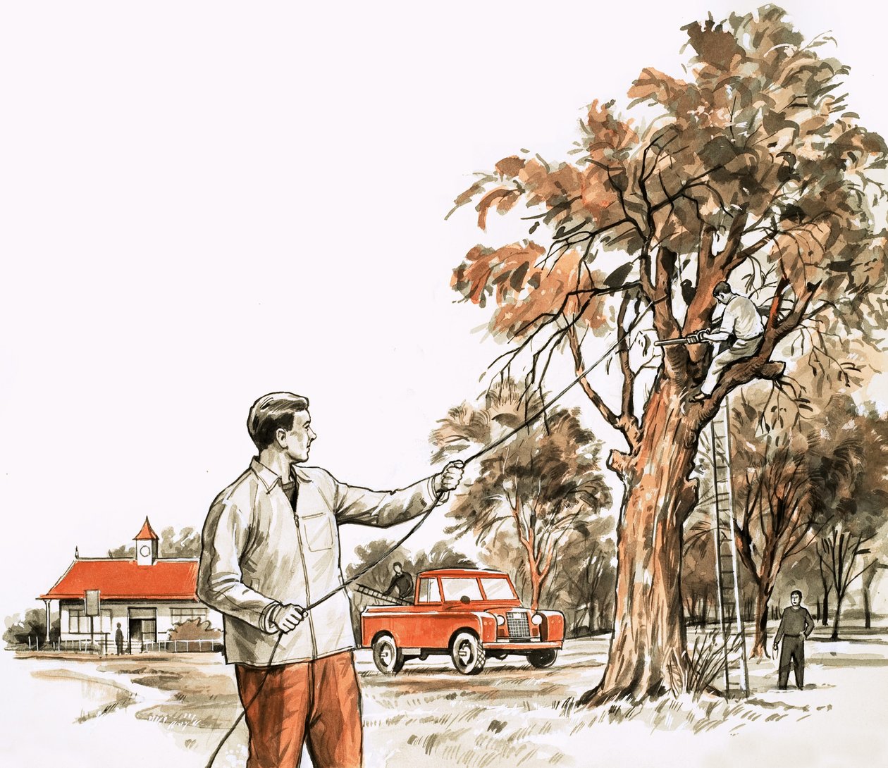 Chirurgo degli alberi da English School
