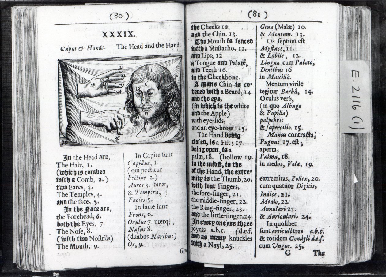 Due pagine da Orbis Sensualium Pictus di Comenius, 1659 da English School
