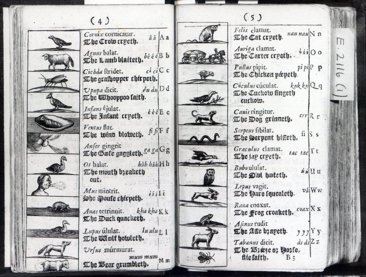 Due pagine da Orbis Sensualium Pictus di Comenius, 1659 da English School