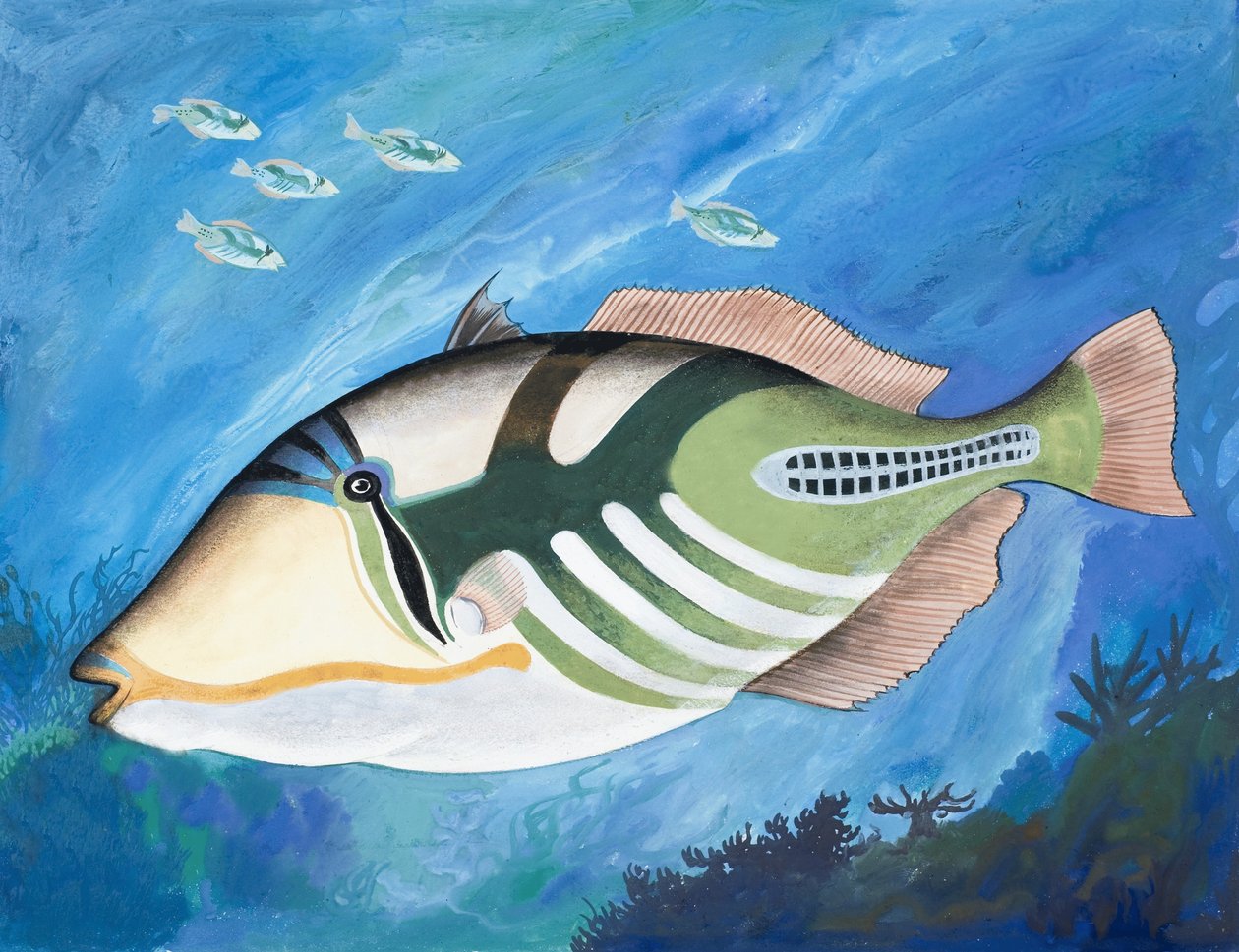 Pesce non identificato da English School