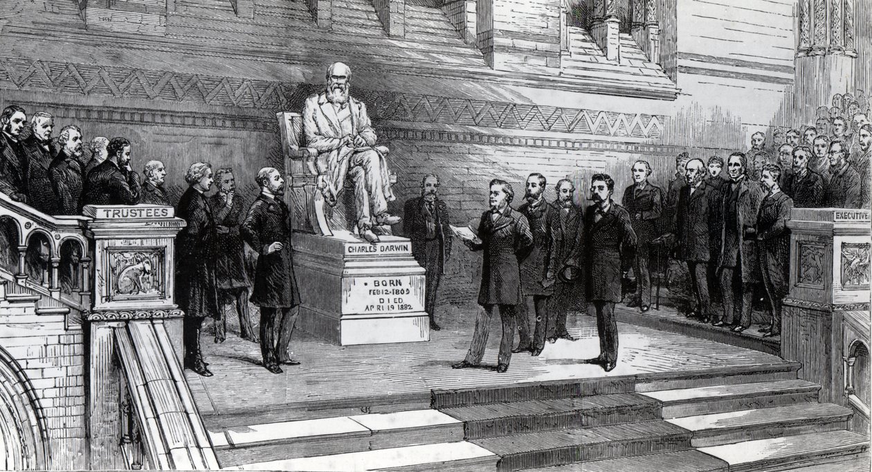 Inaugurazione della statua del defunto Charles Darwin nel Museo di Storia Naturale, South Kensington, 9 giugno 1885 da English School