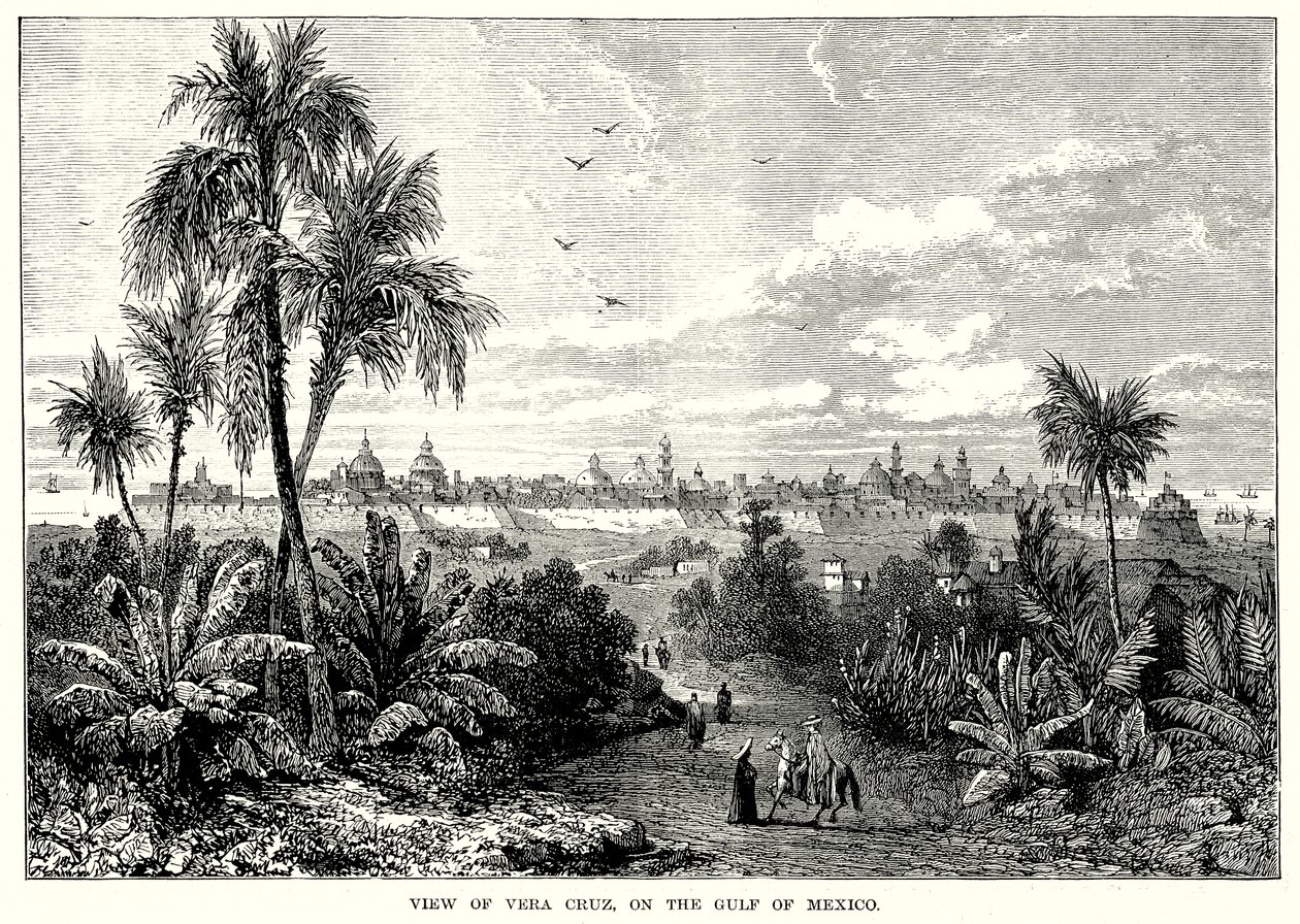 Veduta di Vera Cruz, sul Golfo del Messico (incisione) da English School