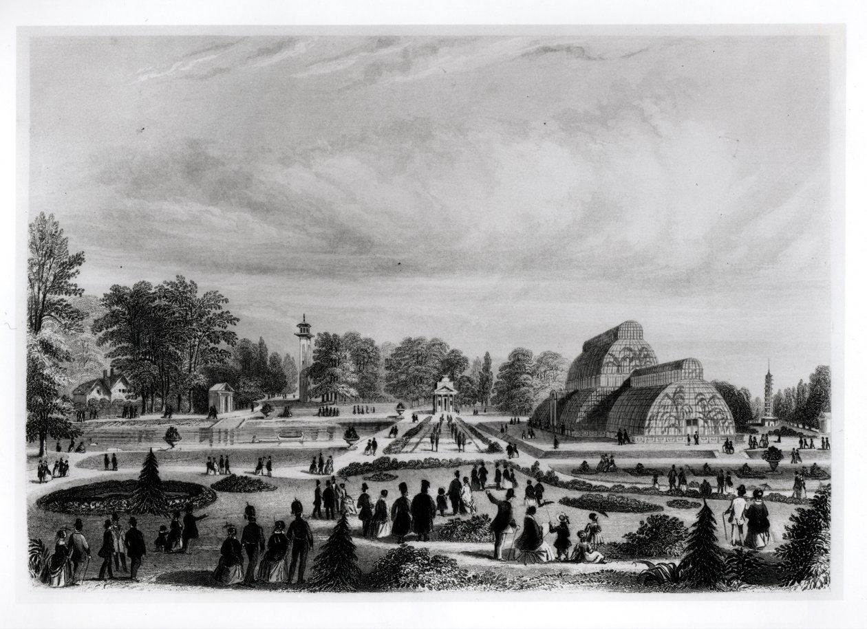 Visitatori che osservano la Palm House a Kew Palace, c.1860 da English School