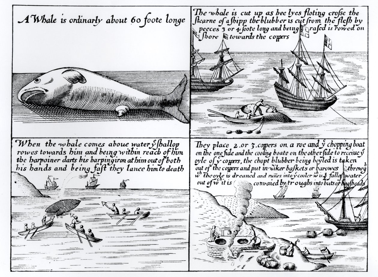Caccia alla balena a Spitzbergen nel 1611 da English School