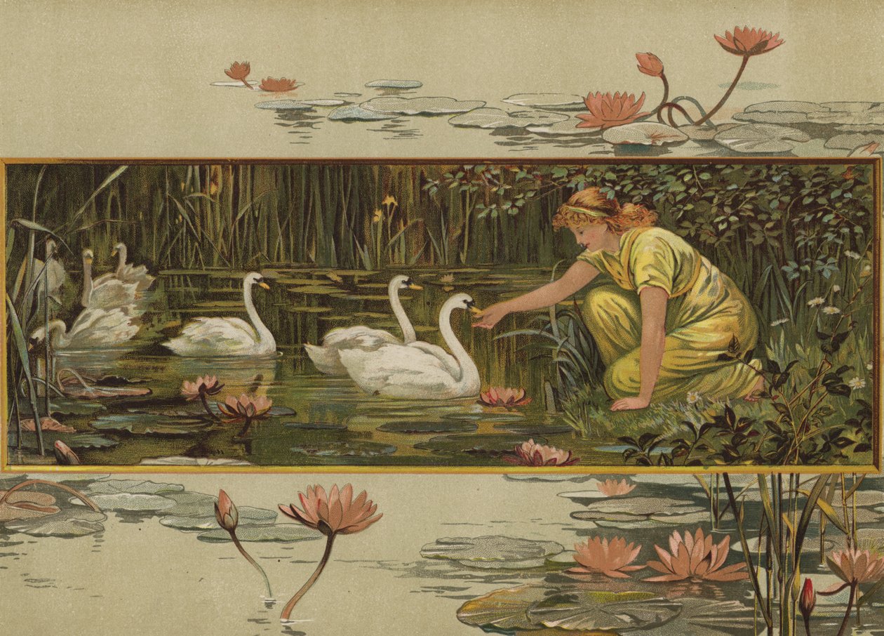 Dove crescono le ninfee (chromolitho) da English School
