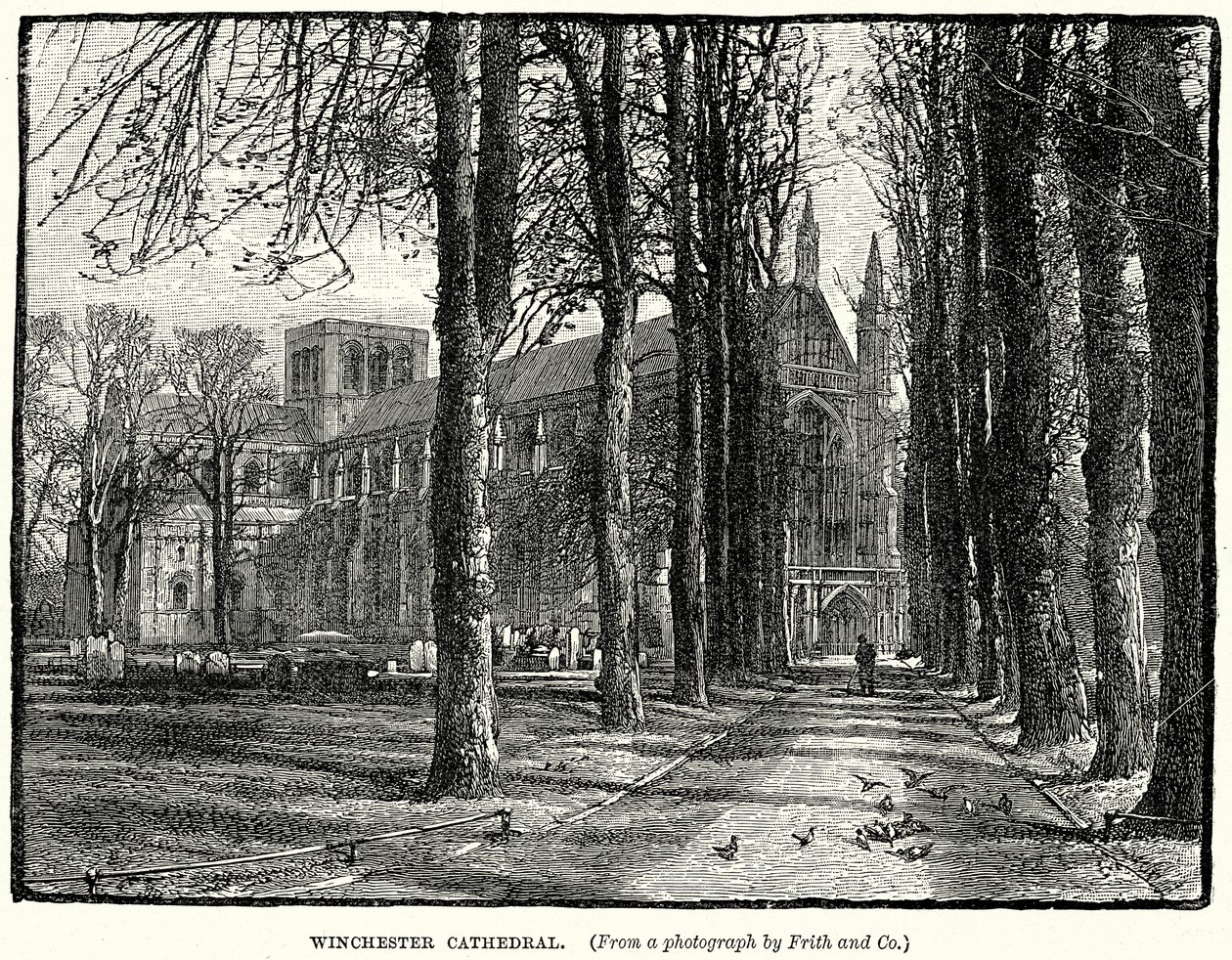 Cattedrale di Winchester (incisione) da English School