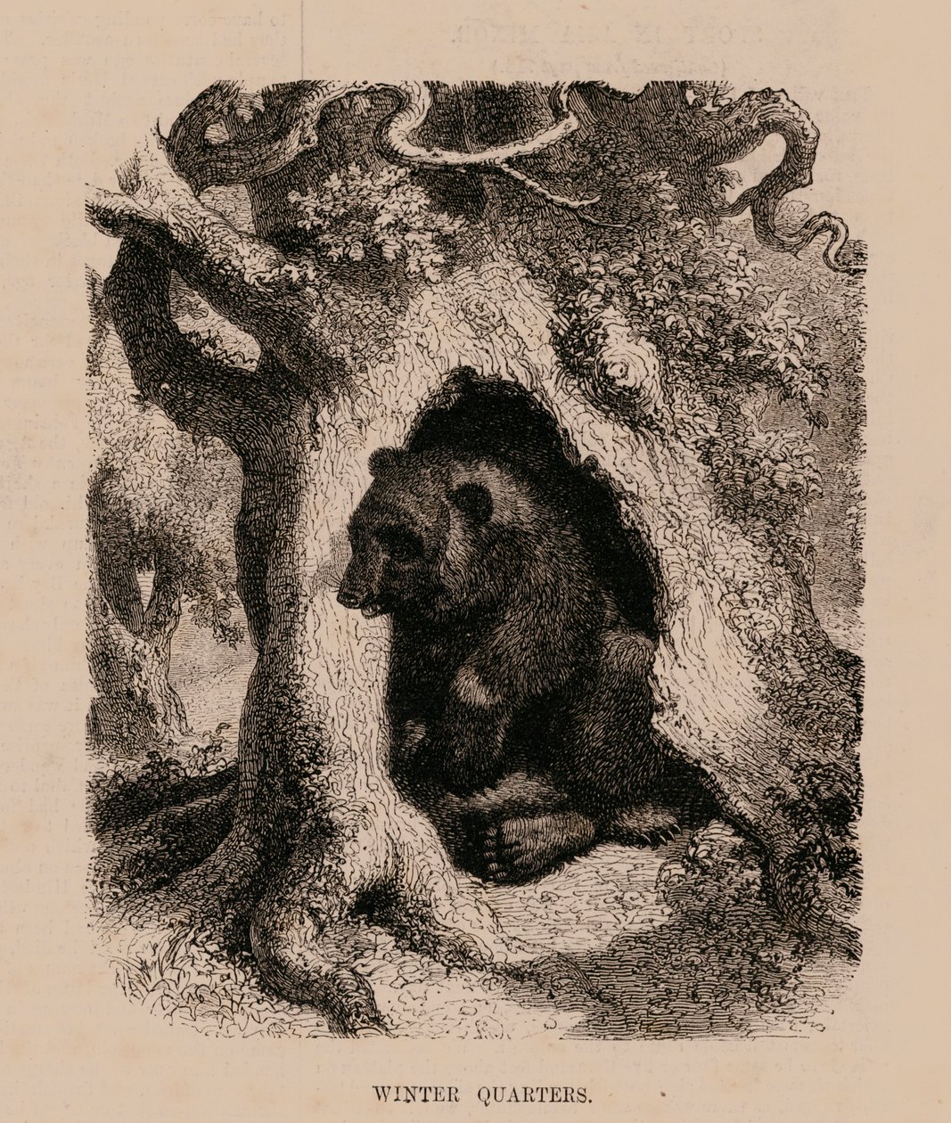 Quartieri d