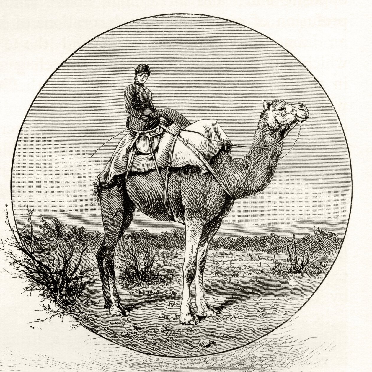 Donna su un cammello in Australia, c.1880, da 