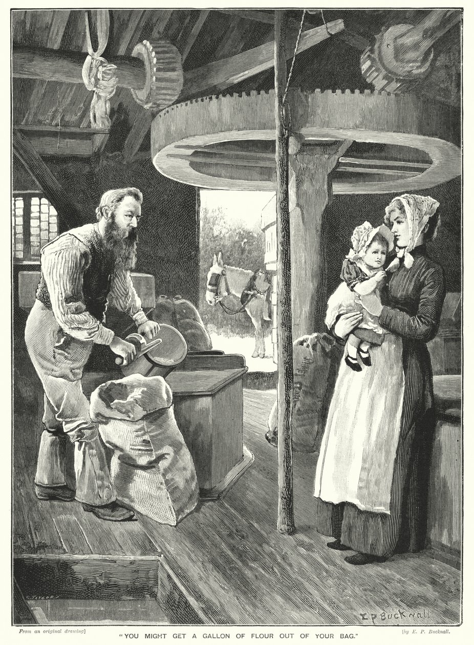 Potreste ottenere un gallone di farina dal vostro sacchetto (incisione) da English School