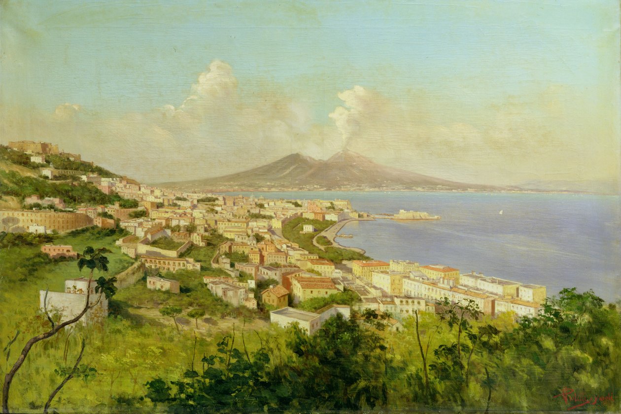 Vista sul Golfo di Napoli da Enrico Pistilli