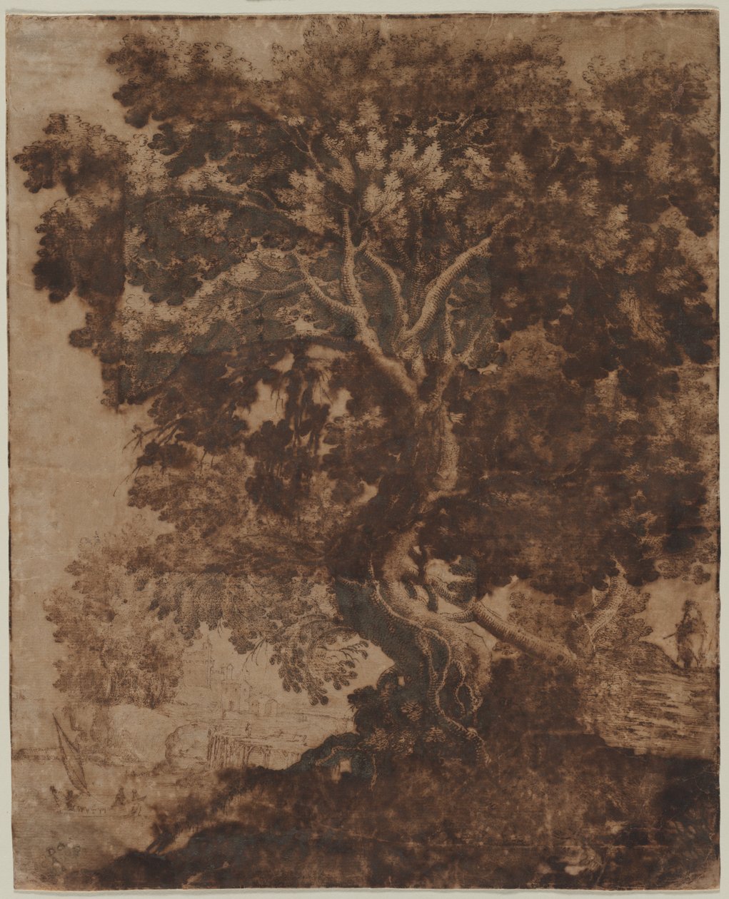 Albero in un Paesaggio, metà del XVII secolo da Ercole Bazicaluva