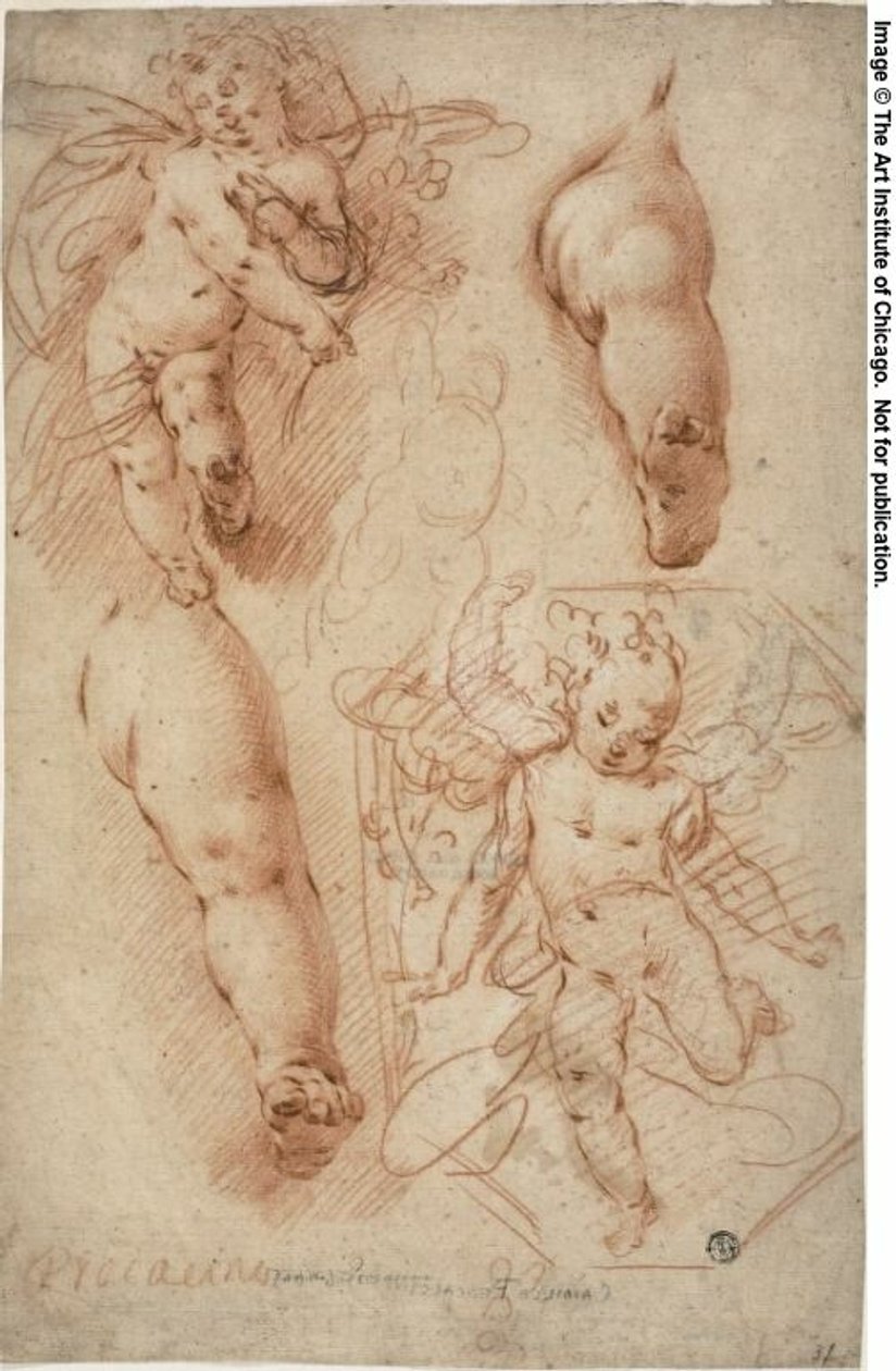 Schizzi di putti, gambe da Ercole Procaccini the younger