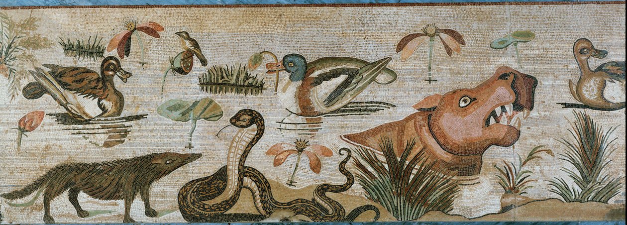 Animali acquatici e altri animali da Erich Lessing