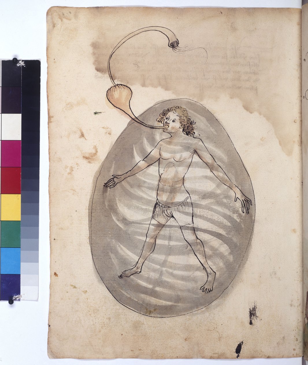 Pagina intera: palombaro, 1430 circa (disegno a penna colorata) da Erich Lessing