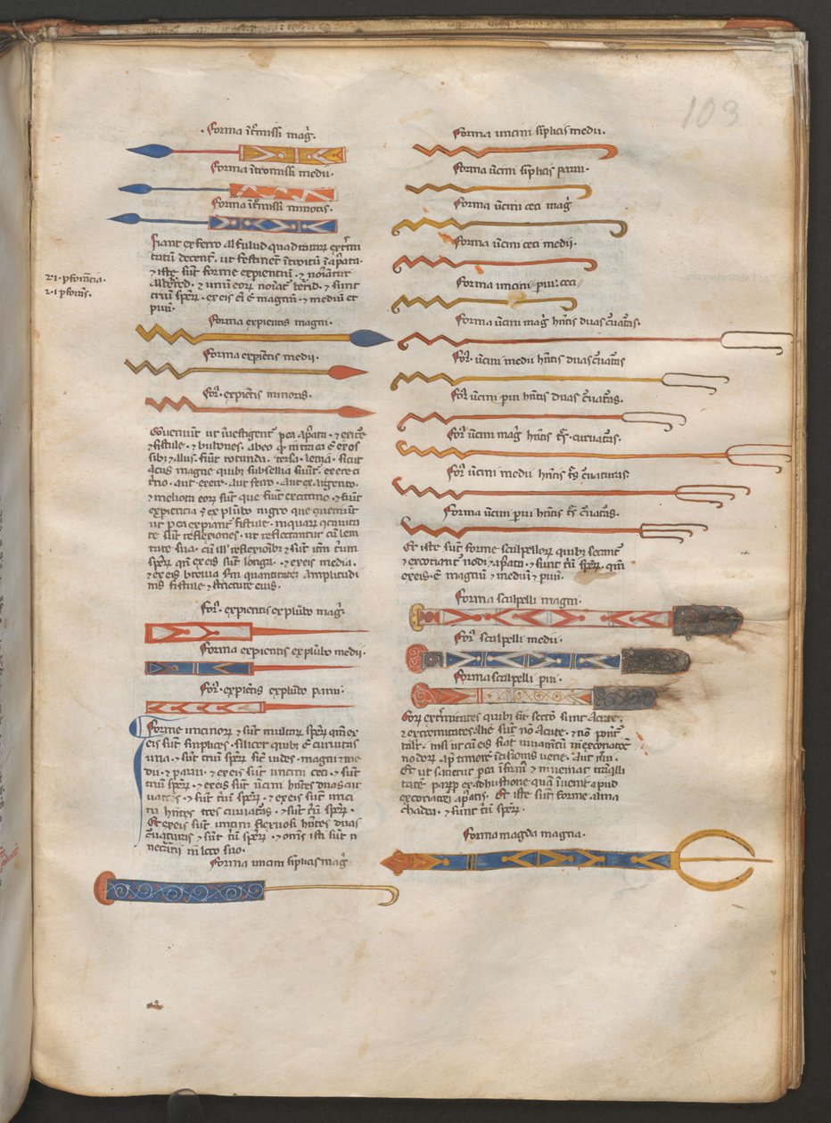 Pagina intera: testo e illustrazioni di strumenti chirurgici da Erich Lessing