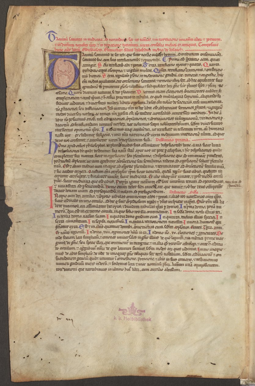 Pagina intera: testo e iniziale T da Erich Lessing