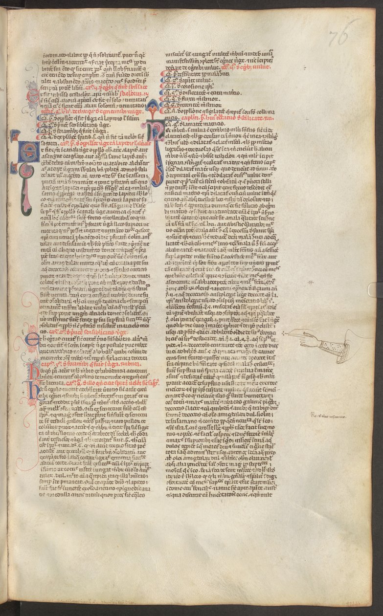 Pagina intera: testo con iniziale da Erich Lessing