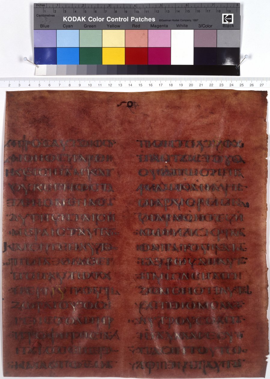 Pagina di testo completo da Erich Lessing