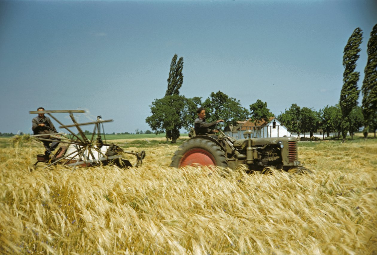  da Erich Lessing