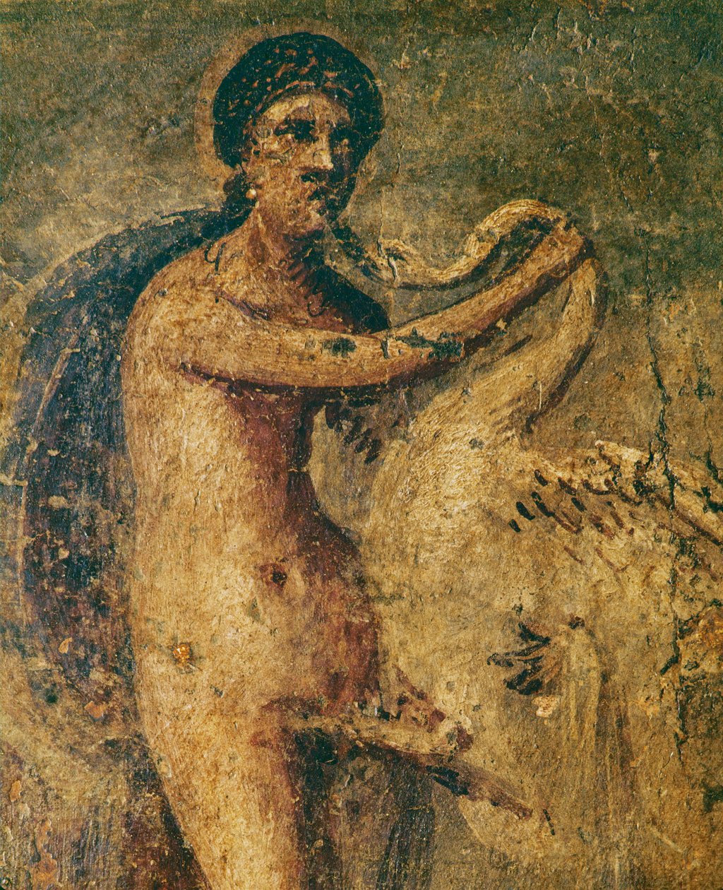 Leda e il cigno da Erich Lessing