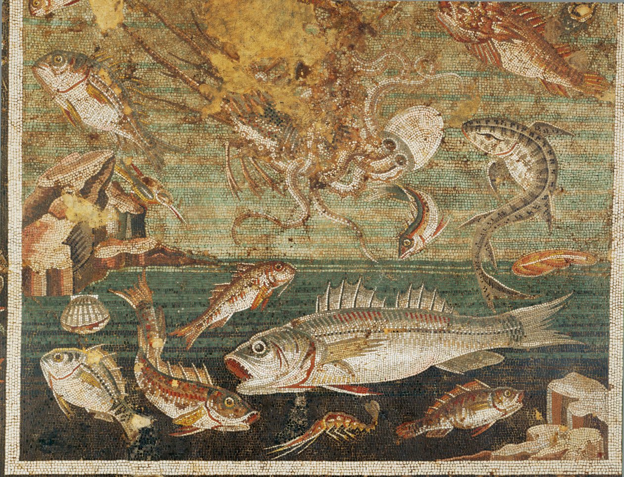 Marine fauna, fish, Casa del Fauno, Pompeii da Erich Lessing