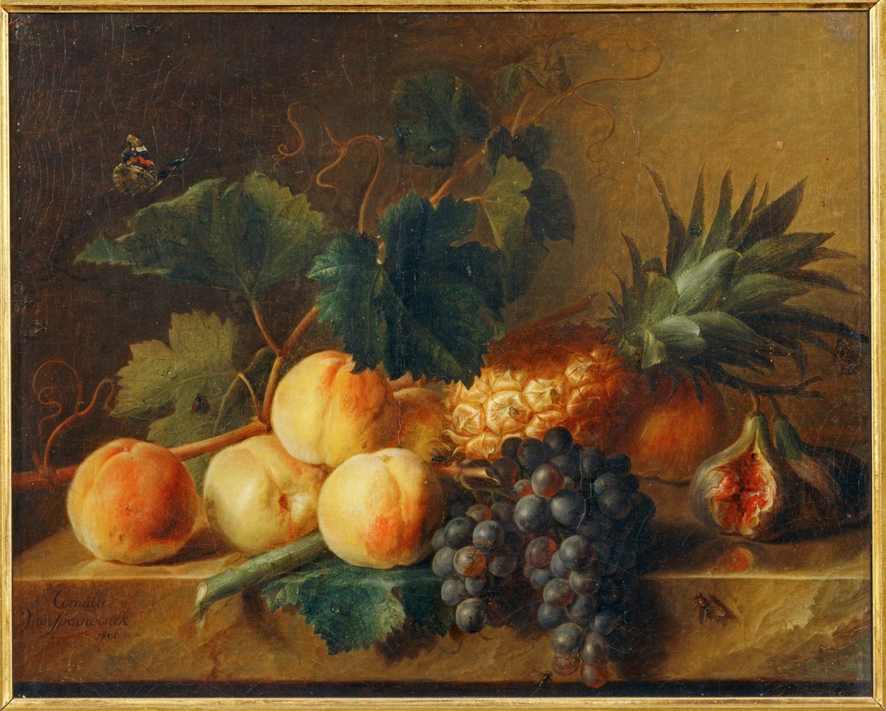 Natura morta con pesche e ananas ... da Erich Lessing