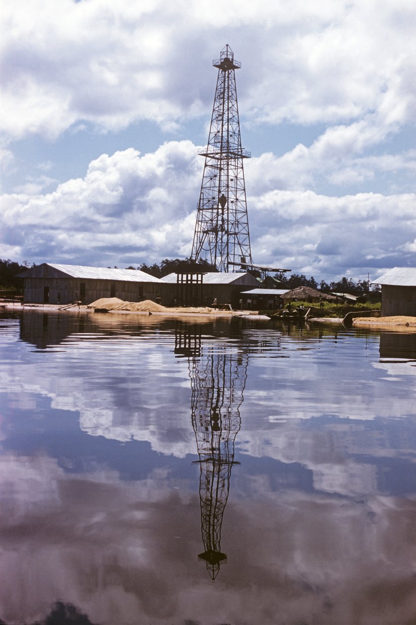 Shell e British Petroleum Company, dal delta del Niger a Port Harcourt, Nigeria, Africa da Erich Lessing