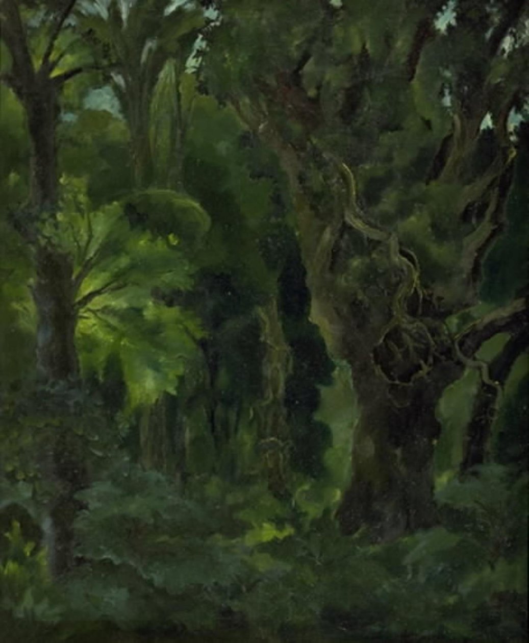 Paesaggio boscoso. "La foresta nordica" da Erik Stæhr Nielsen