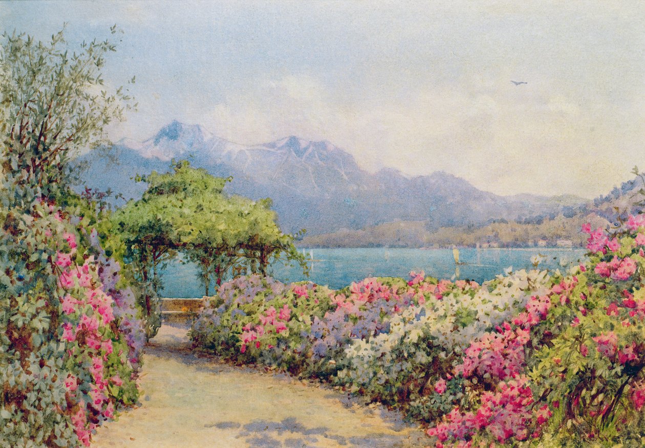 Lago di Como dalla Villa Carlotta da Ernest Arthur Rowe
