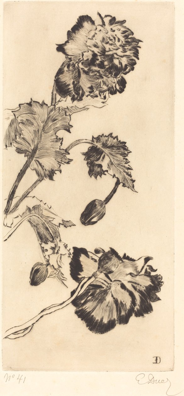 Fiori da Ernest Ange Duez