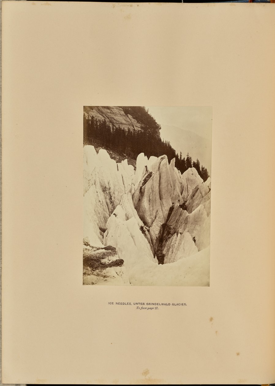 Api di ghiaccio - Sotto il ghiacciaio di Grindelwald da Ernest H. Edwards