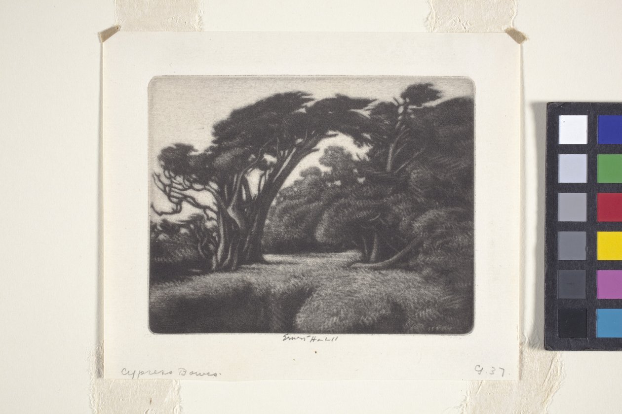 Pergolato di cipressi da Ernest Haskell