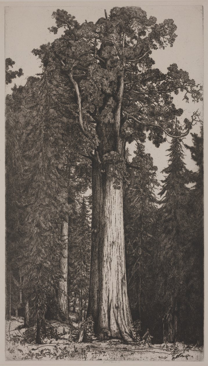 Generale Sherman da Ernest Haskell