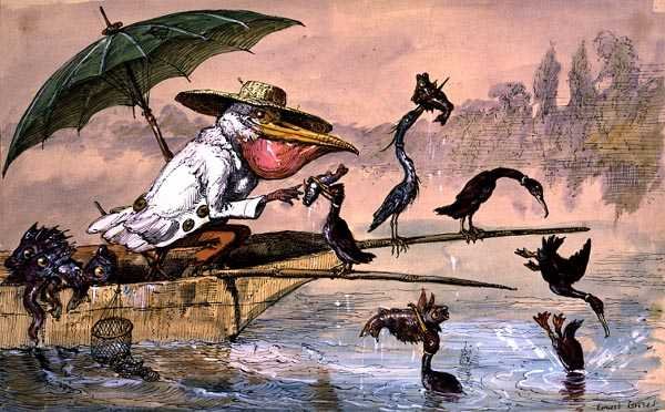 Cormorani che presentano pesci a un pellicano in una barca sotto un ombrello da 