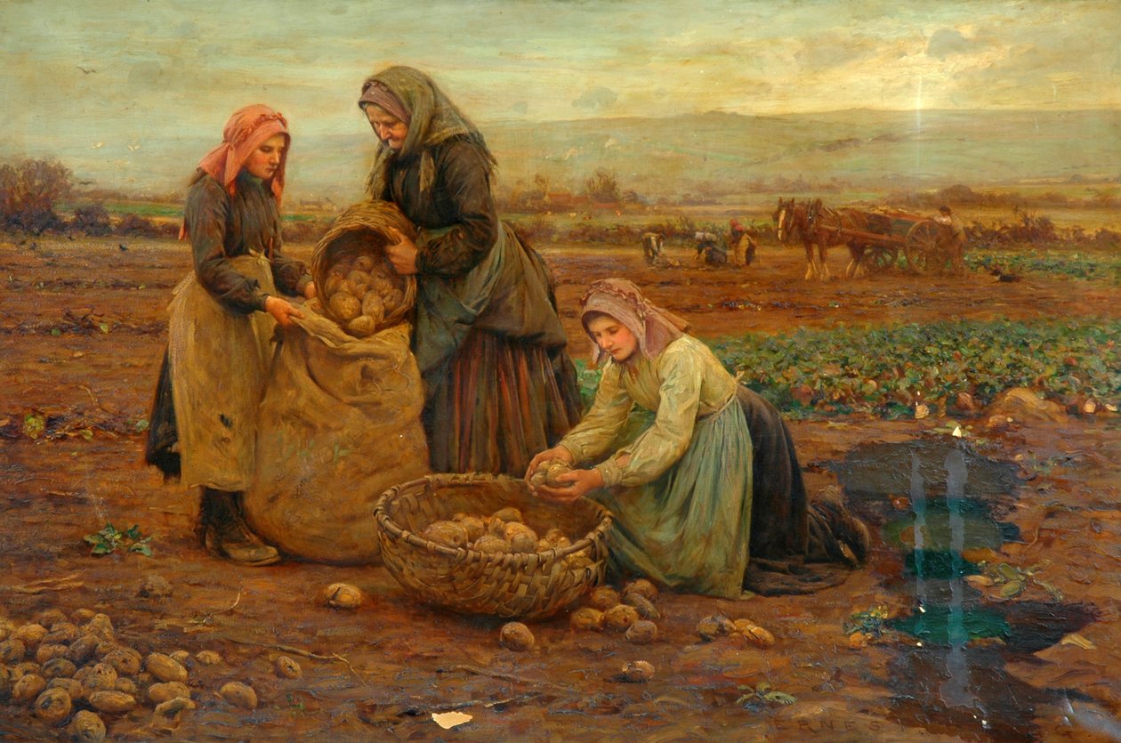 I raccoglitori di patate da Ernest Higgins Rigg