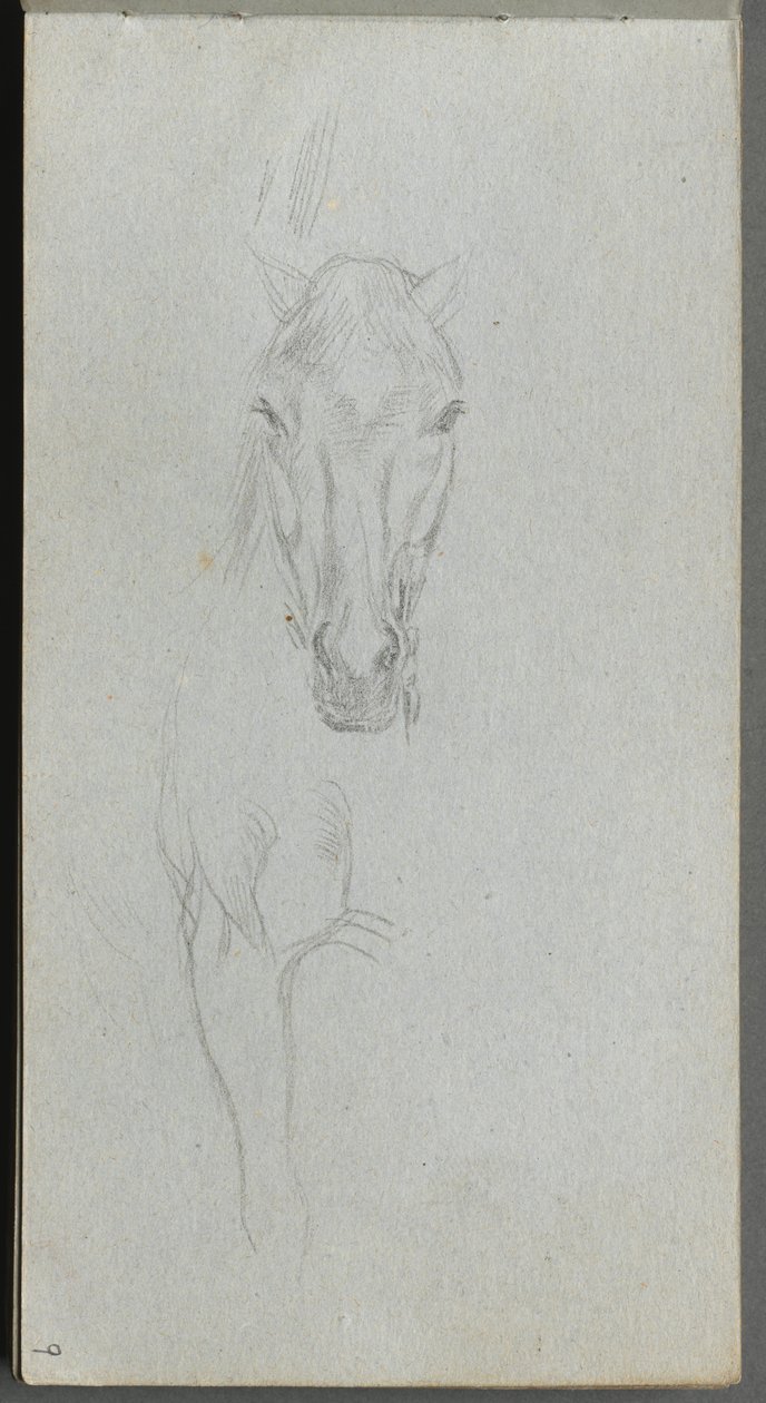 Taccuino, pagina 09: Studio di un Cavallo da Jean Louis Ernest Meissonier