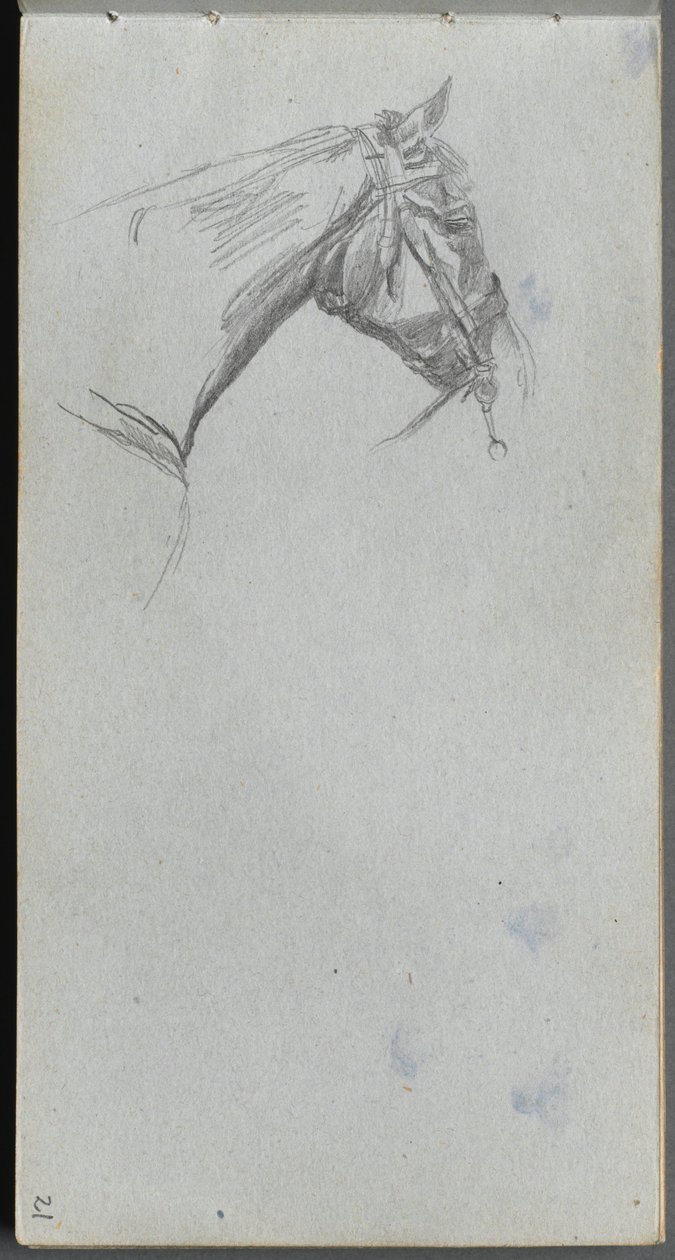 Taccuino degli schizzi, pagina 21: studio di un cavallo da Ernest Meissonier