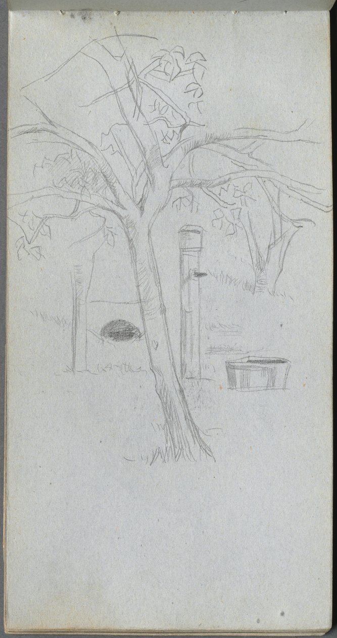 Taccuino, pagina 36: Studio di un albero da Jean Louis Ernest Meissonier