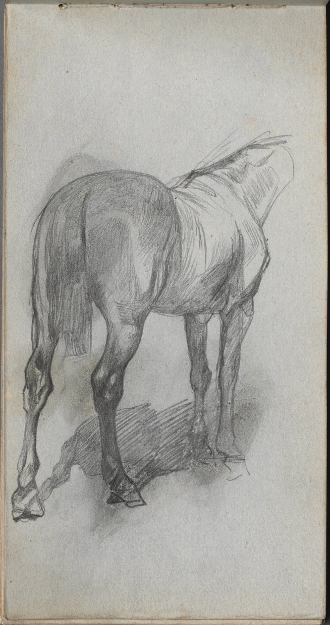 Taccuino, pagina 76: Studio di un Cavallo da Jean Louis Ernest Meissonier