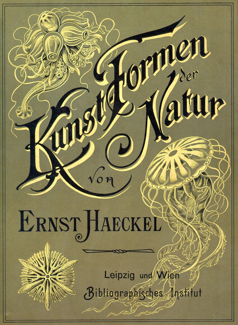 Copertina di 