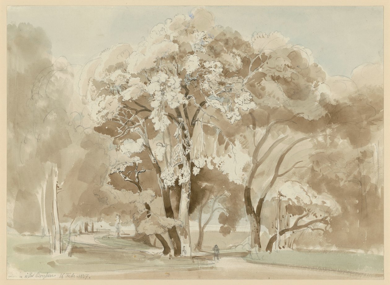 Gruppo di alberi nel parco di Villa Borghese a Roma da Ernst Fries