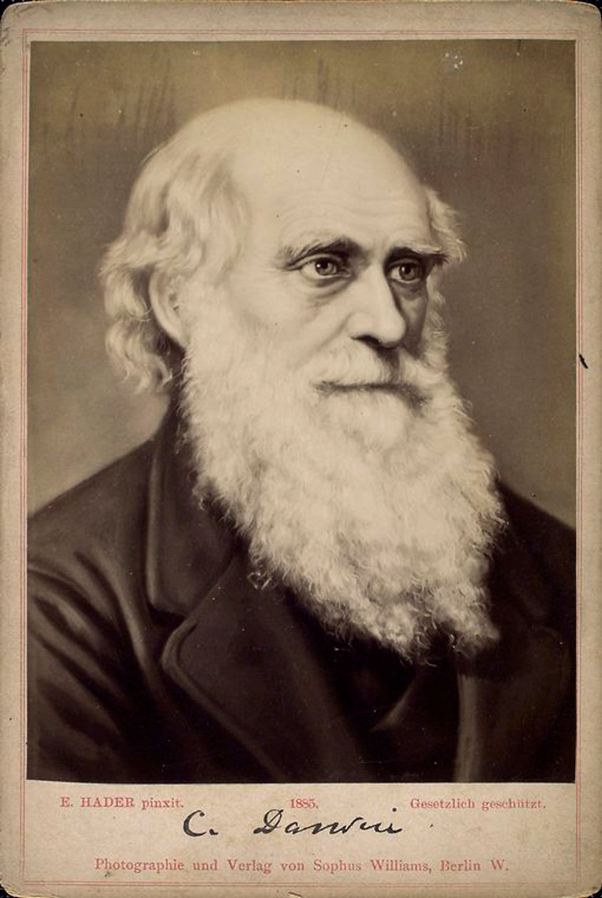 Charles Darwin, naturalista britannico da Ernst Hader